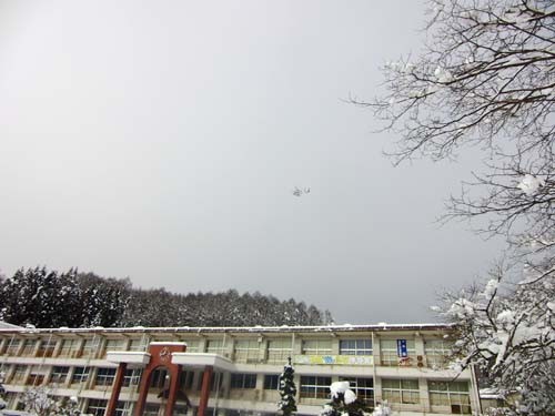 f:id:Naturalhistory:20121212004031j:image