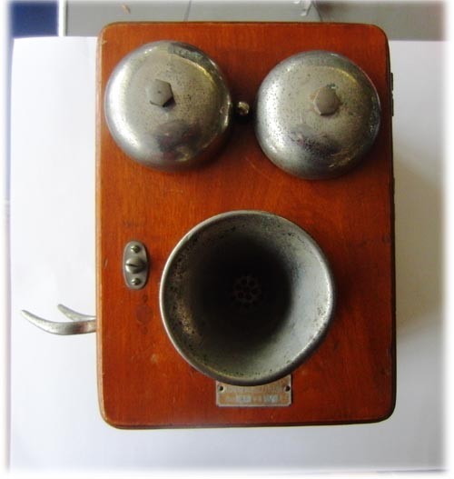 f:id:Naturalhistory:20121218164347j:image