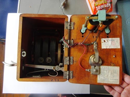 f:id:Naturalhistory:20121219033351j:image