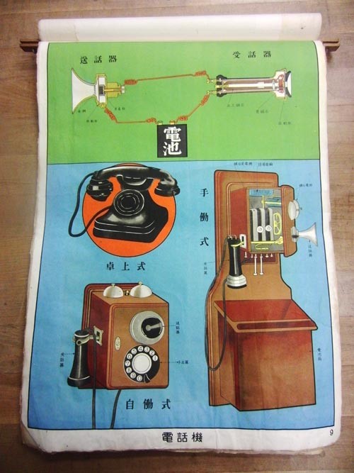 f:id:Naturalhistory:20121219034858j:image