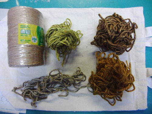 f:id:Naturalhistory:20130119042442j:image