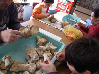 f:id:Naturalhistory:20130120104633j:image f:id:Naturalhistory:20130120104633j:image