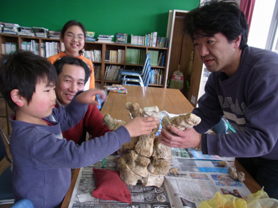 f:id:Naturalhistory:20130120141239j:image f:id:Naturalhistory:20130120141239j:image