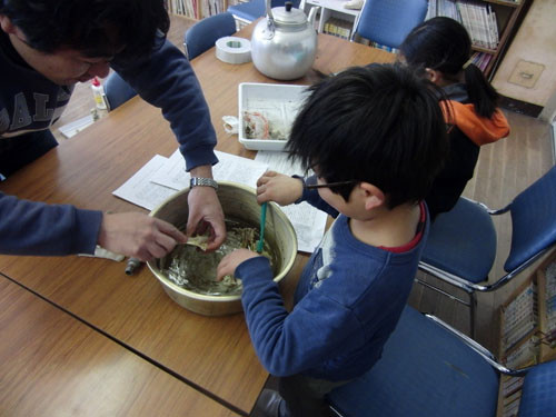 f:id:Naturalhistory:20130126230434j:image