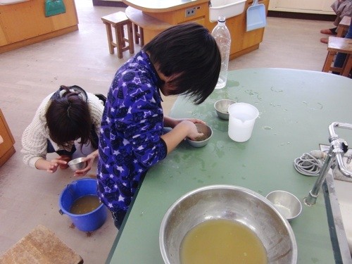 f:id:Naturalhistory:20130203013834j:image