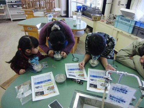 f:id:Naturalhistory:20130203022711j:image
