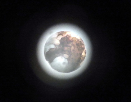 f:id:Naturalhistory:20130211163617j:image