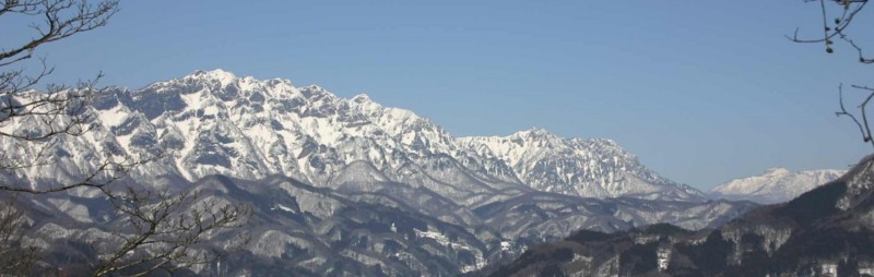 f:id:Naturalhistory:20130302152657j:image