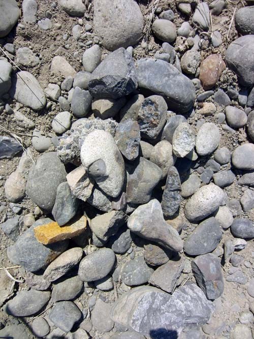 f:id:Naturalhistory:20130317135833j:image