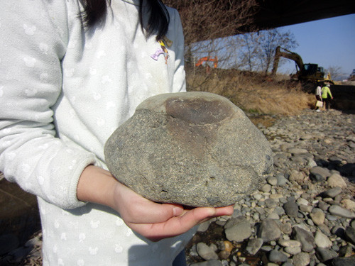 f:id:Naturalhistory:20130317144542j:image