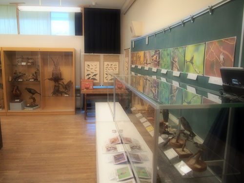 f:id:Naturalhistory:20130426174317j:image
