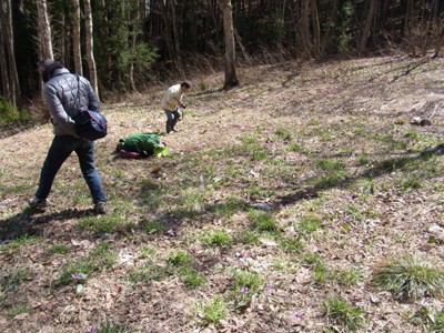 f:id:Naturalhistory:20130427135055j:image