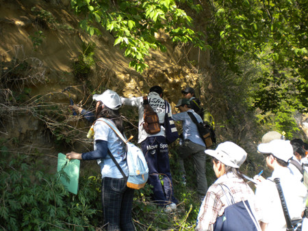 f:id:Naturalhistory:20130516151206j:image f:id:Naturalhistory:20130516151206j:image