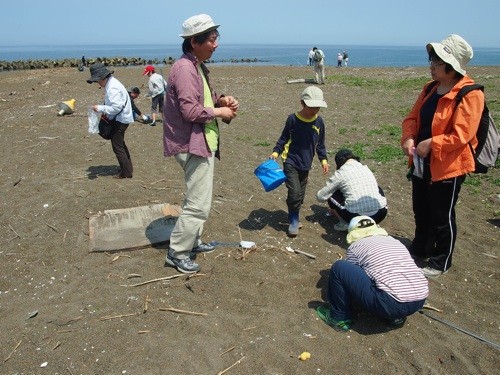 f:id:Naturalhistory:20130525101420j:image