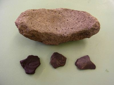f:id:Naturalhistory:20130528162756j:image