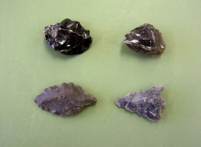 f:id:Naturalhistory:20130528162908j:image