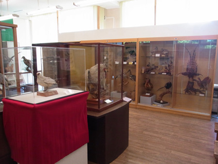 f:id:Naturalhistory:20130605104625j:image