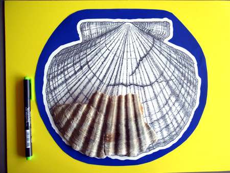 f:id:Naturalhistory:20130605165358j:image