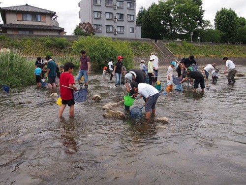 f:id:Naturalhistory:20130616101328j:image
