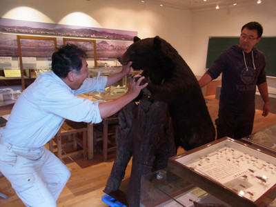 f:id:Naturalhistory:20130626093024j:image