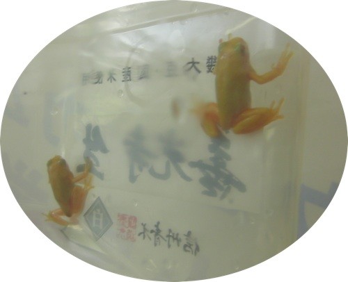 f:id:Naturalhistory:20130629234107j:image