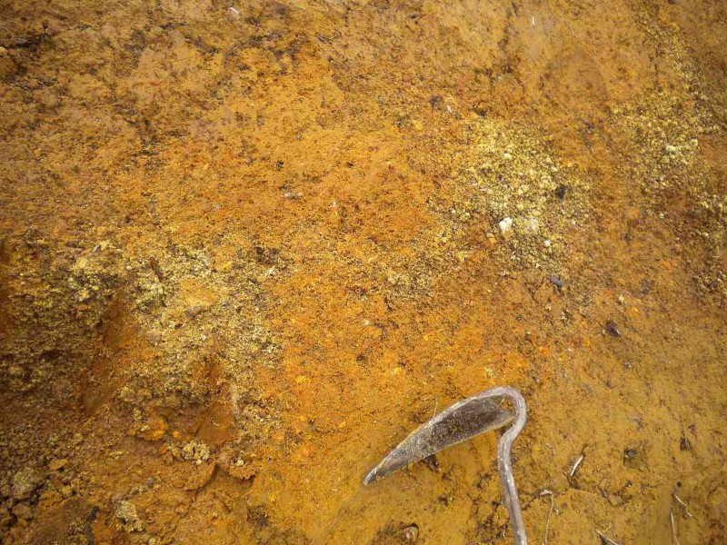 f:id:Naturalhistory:20130701154656j:image