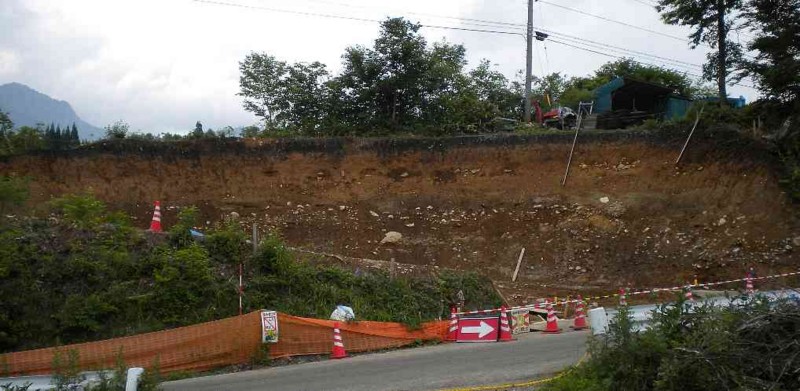 f:id:Naturalhistory:20130701155148j:image