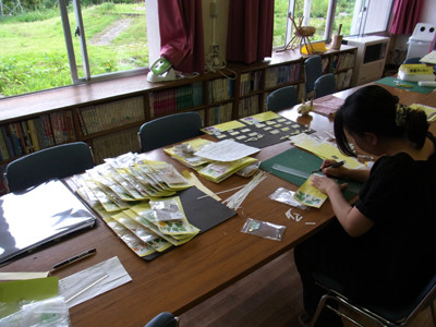f:id:Naturalhistory:20130714143815j:image