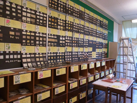 f:id:Naturalhistory:20130717155337j:image