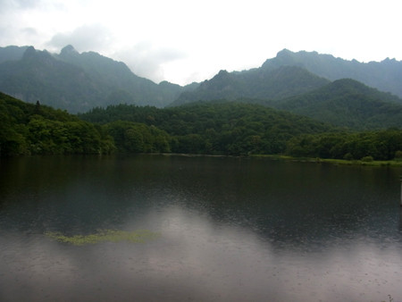 f:id:Naturalhistory:20130725145020j:image f:id:Naturalhistory:20130725145020j:image