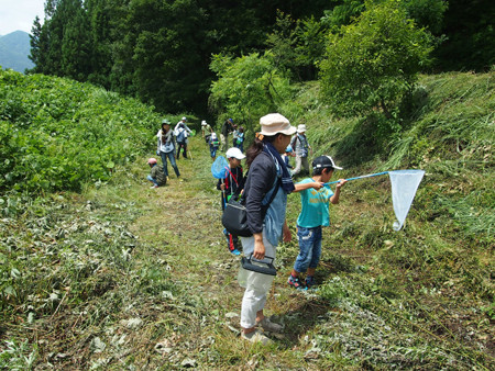 f:id:Naturalhistory:20130728110136j:image