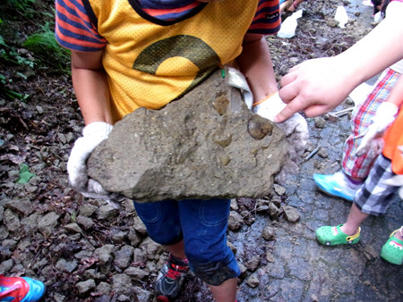 f:id:Naturalhistory:20130730155459j:image