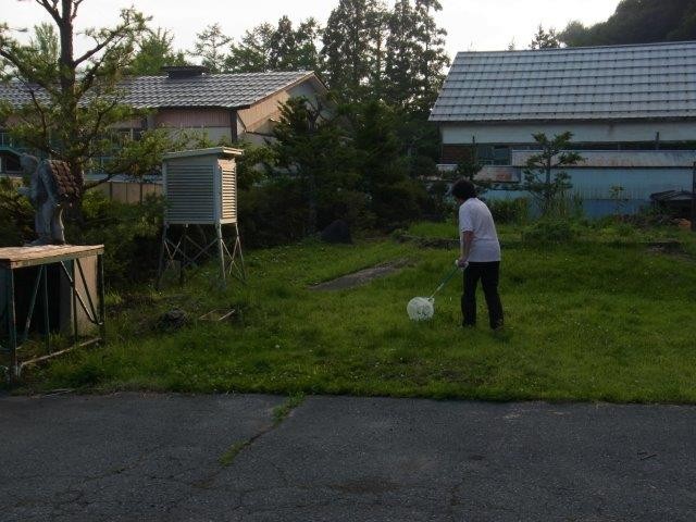 f:id:Naturalhistory:20130801190106j:image