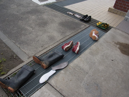 f:id:Naturalhistory:20130802142337j:image