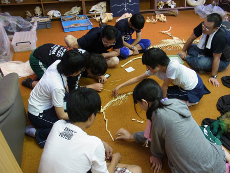 f:id:Naturalhistory:20130802152259j:image