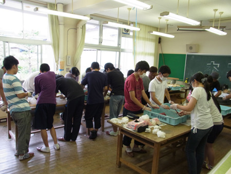 f:id:Naturalhistory:20130808154038j:image