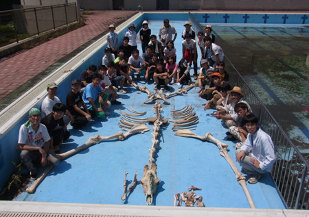 f:id:Naturalhistory:20130809113705j:image