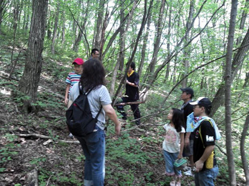 f:id:Naturalhistory:20130810110432j:image