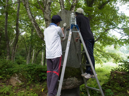 f:id:Naturalhistory:20130810143753j:image