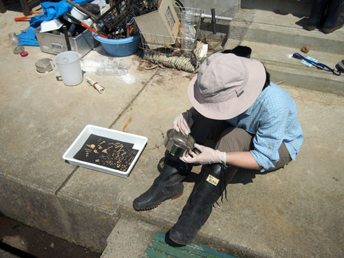 f:id:Naturalhistory:20130812103437j:image