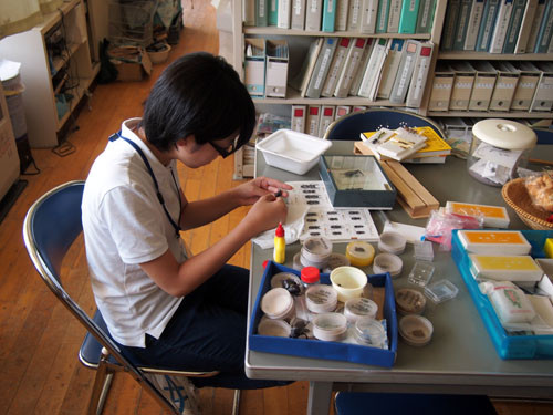 f:id:Naturalhistory:20130812103914j:image