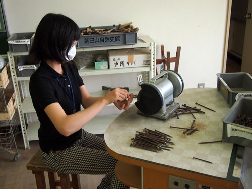 f:id:Naturalhistory:20130812104132j:image f:id:Naturalhistory:20130812104132j:image