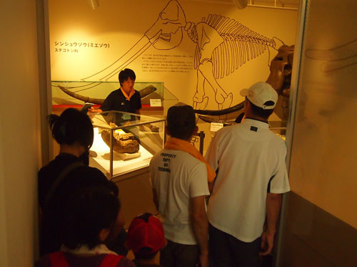 f:id:Naturalhistory:20130818094317j:image