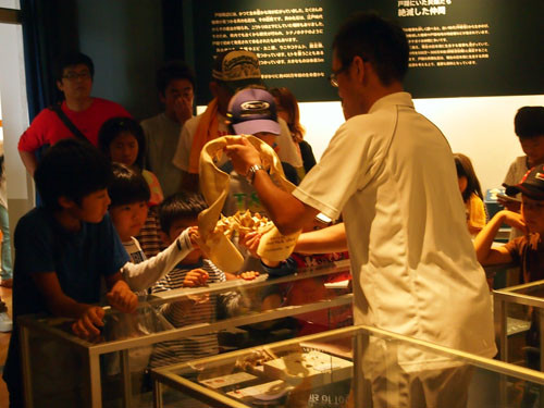 f:id:Naturalhistory:20130818095544j:image