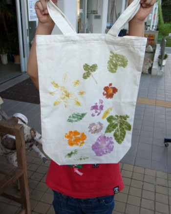 f:id:Naturalhistory:20130825170800j:image