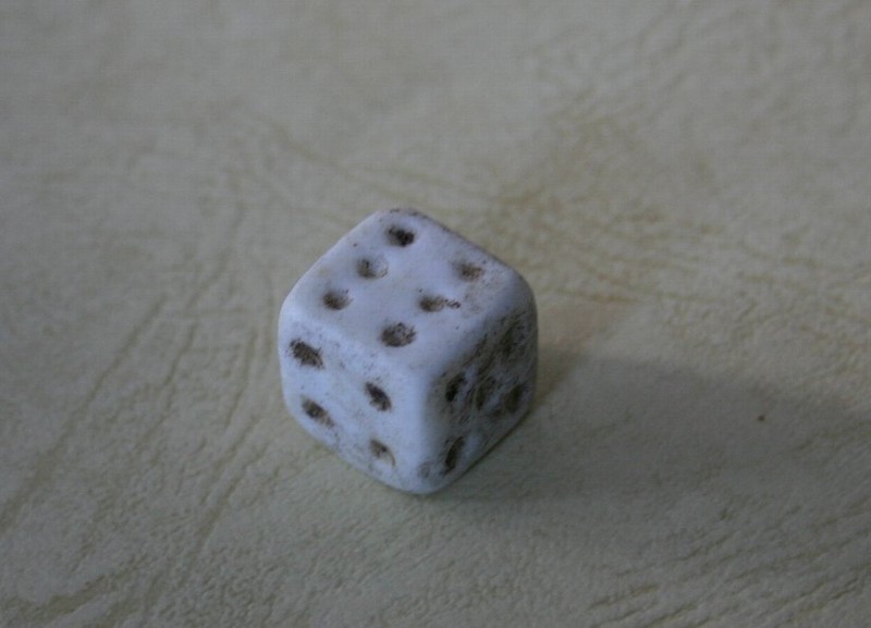 f:id:Naturalhistory:20130828164214j:image