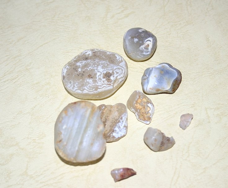 f:id:Naturalhistory:20130828164216j:image