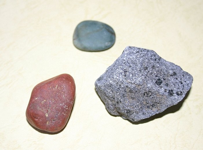 f:id:Naturalhistory:20130828164217j:image