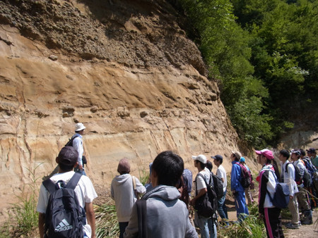 f:id:Naturalhistory:20130829101447j:image