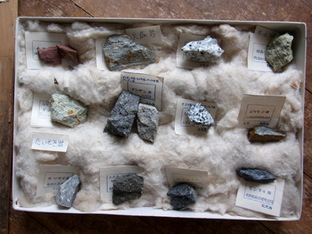 f:id:Naturalhistory:20130907101333j:image